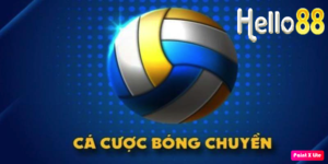 Cá cược bóng chuyền