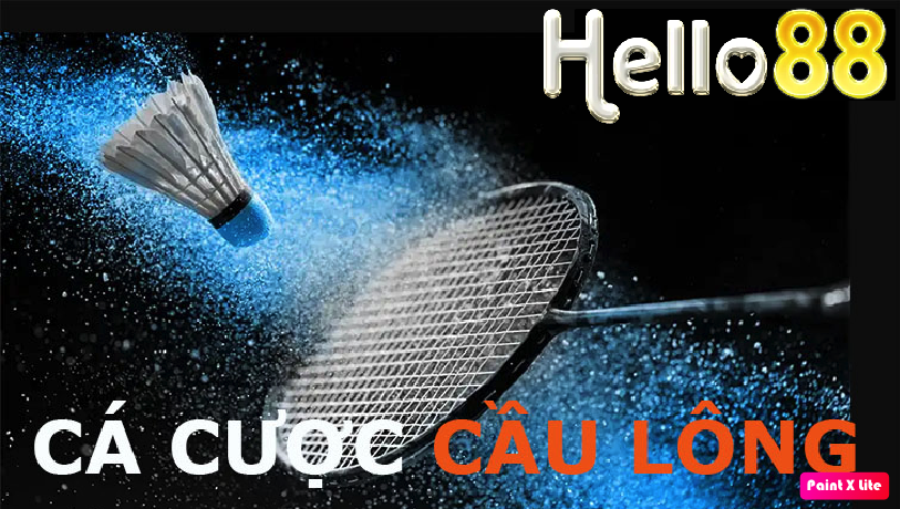 Cá cược cùng Hello88